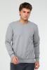 Açık Gri Regular Pamuklu O Yaka Basic Erkek Sweatshirt xc2381 